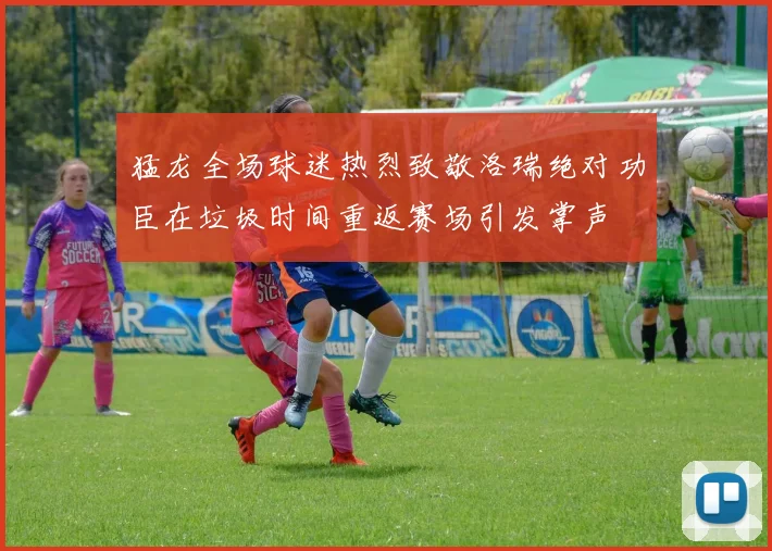 猛龙全场球迷热烈致敬洛瑞绝对功臣在垃圾时间重返赛场引发掌声