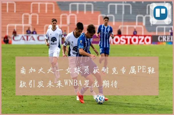 南加大大一女球员获耐克专属PE鞋款引发未来WNBA星光期待