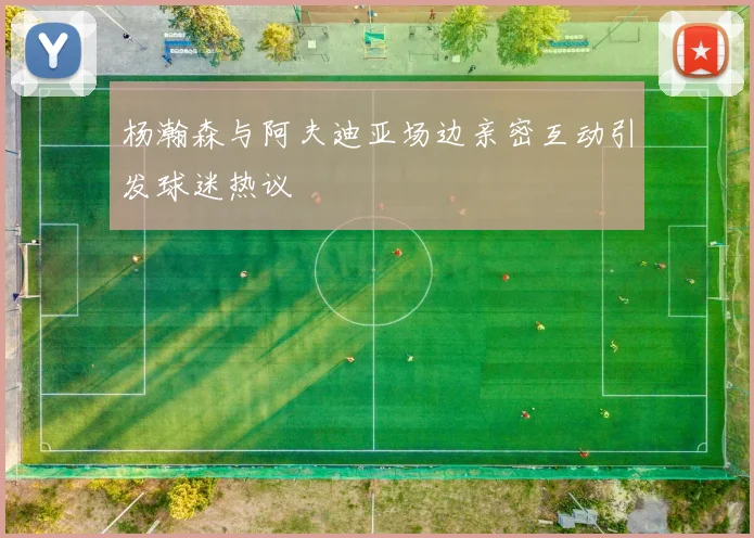 杨瀚森与阿夫迪亚场边亲密互动引发球迷热议